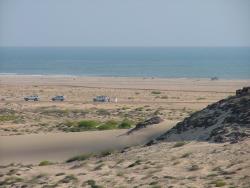 om_2007_0303(010)