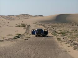 om_2007_0303(012)
