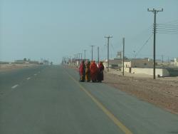 om_2007_0303(013)