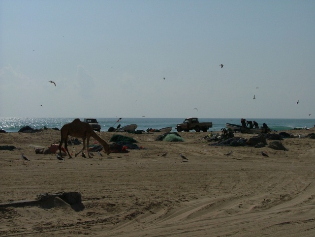 om_2007_0303(017)