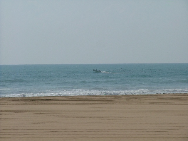 om_2007_0303(022)
