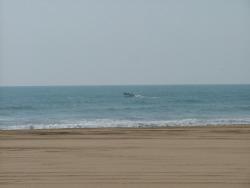 om_2007_0303(022)