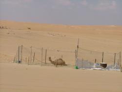 om_2007_0303(026)