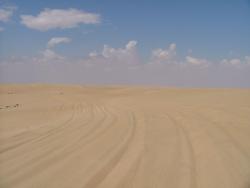 om_2007_0303(044)