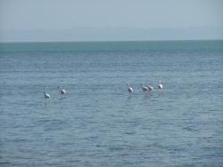 om_2007_0303(052)
