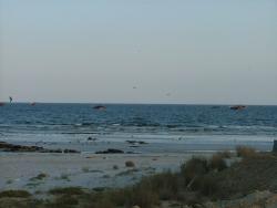 om_2007_1215(001)