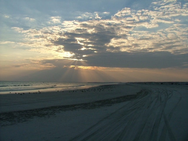 om_2007_1215(003)