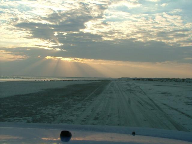 om_2007_1215(008)