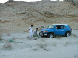 om_2007_1215(012)
