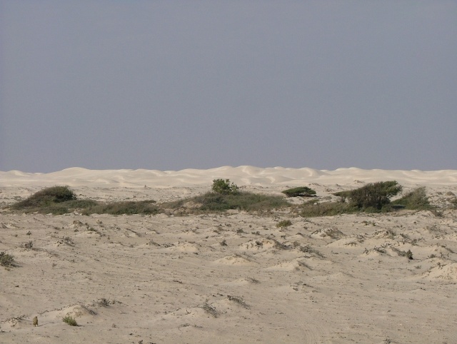 om_2007_1215(019)