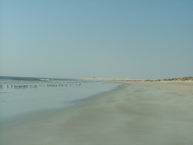 om_2007_1215(023)