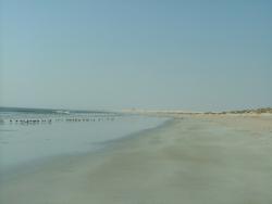 om_2007_1215(023)