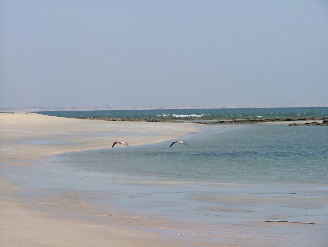 om_2007_1215(029)