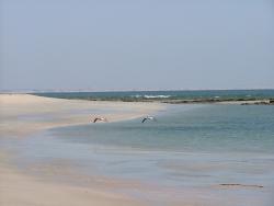 om_2007_1215(029)