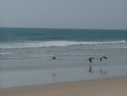 om_2007_1215(034)