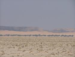 om_2007_1215(036)