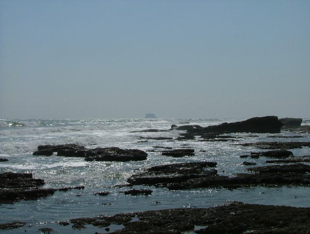 om_2007_1215(038)