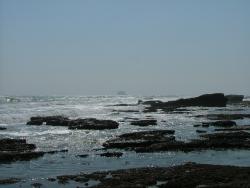 om_2007_1215(038)