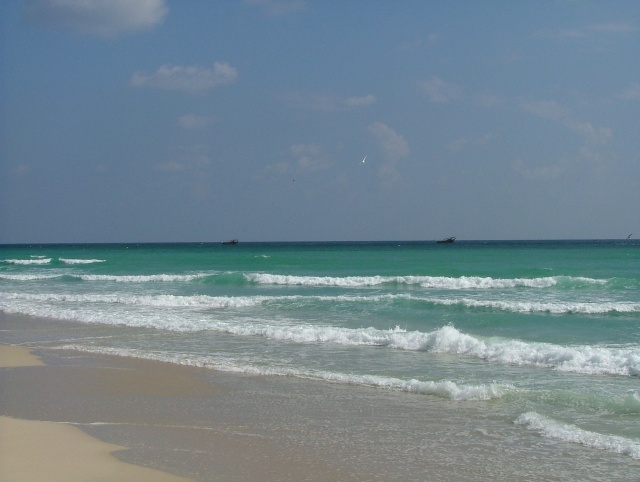om_2007_1215(040)