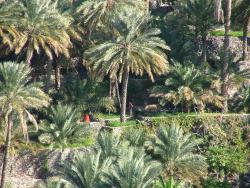 om_2007_1218(005)
