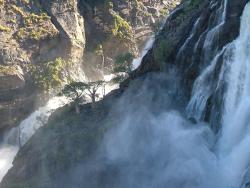 Baobabs perdus dans les chutes de Ruacana