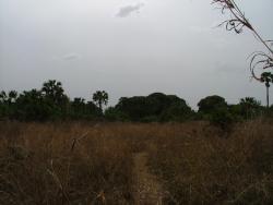 Parc de la Pendjari côté Est pour rejoindre la frontière avec le Niger