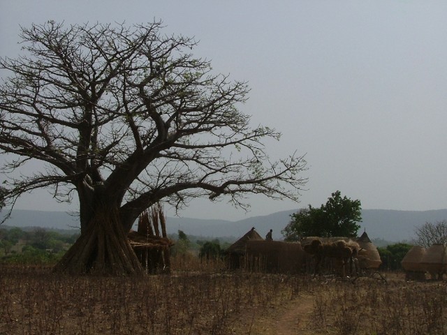 tata du pays Somba