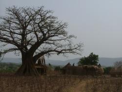 tata du pays Somba