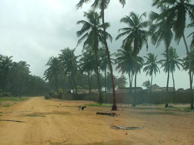 Village de pêcheurs sur la côte