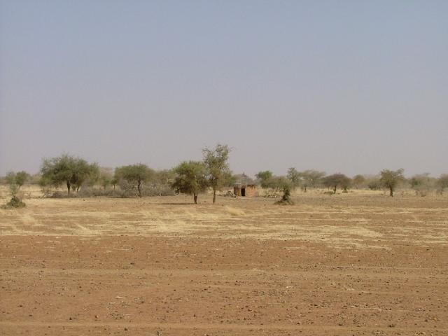 Paysage typique du Burkina