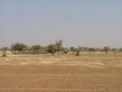Paysage typique du Burkina