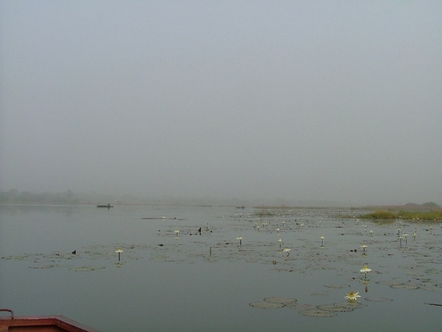 Lac de Tengréla