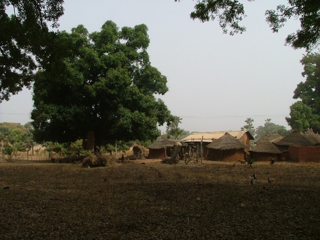 Village de Wolokonto