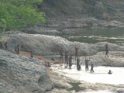Cameroun 2004 - KapSud