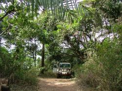Bivouac dans la forêt tropicale