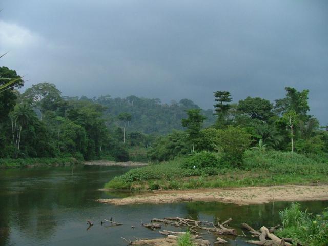 Bivouac de la rivière Mango