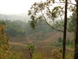 Paysage typique autour de la Ring Road
