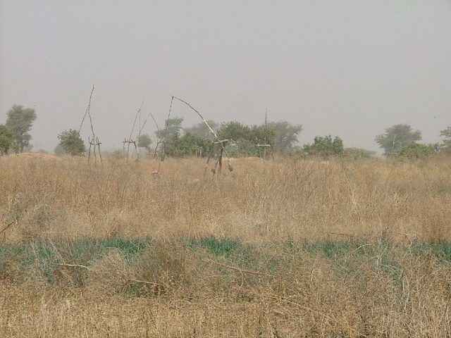 Système d'irrigation dans l'extrême nord