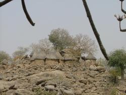 Cases à croquer