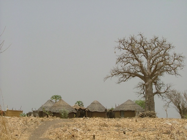  	   Village vers Tchamba