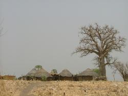  	   Village vers Tchamba