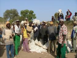 Mali 2004 - KapSud