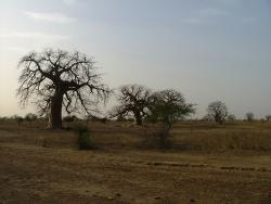 Aux alentours de Nioro
