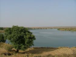 Le fleuve Sénégal