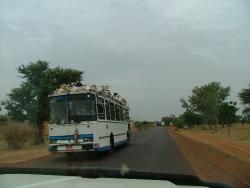 Bus chargés de moutons ... et de poissons