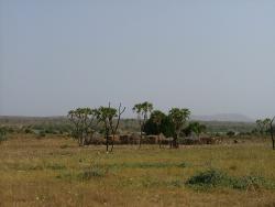 Village sur le Sénégal