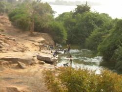 Scène de vie très animée aux environs de Bafoulabé