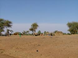 Campement tamasheq