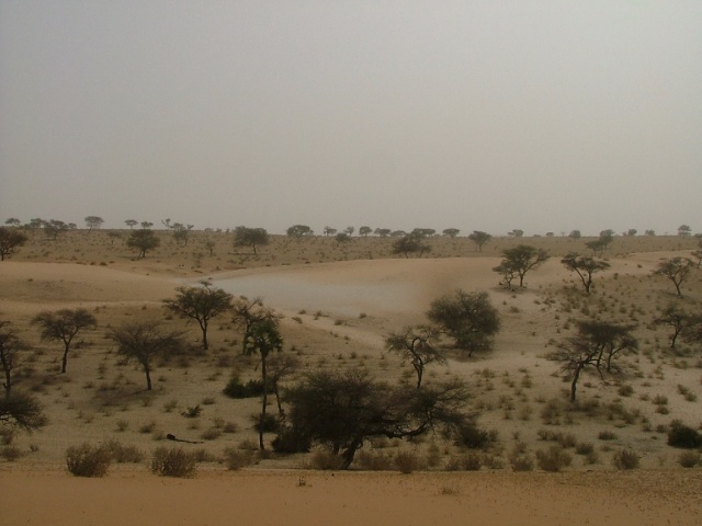 Vues du sud est du Niger