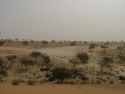 Vues du sud est du Niger